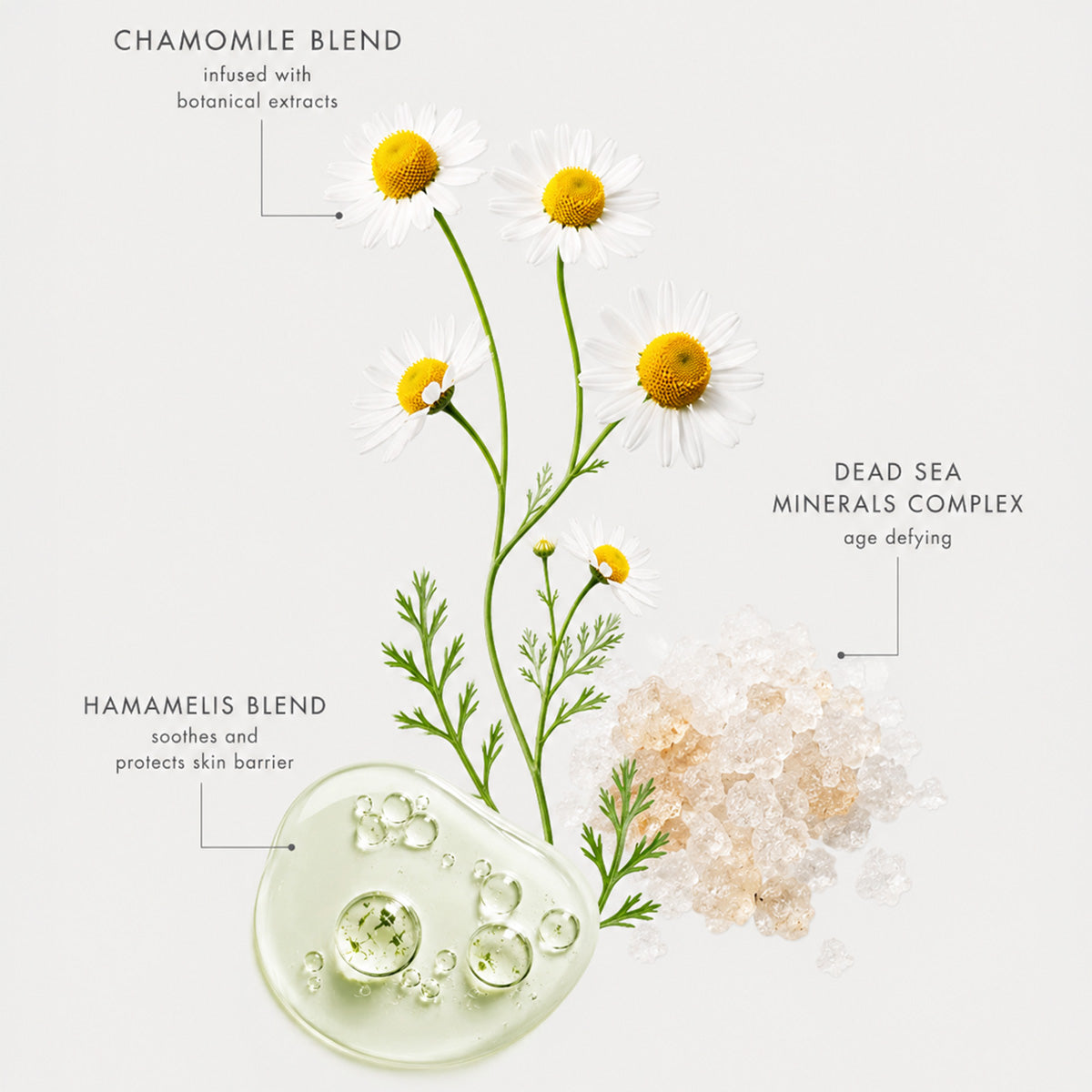 Skin Toner (Normal to Dry Skin)