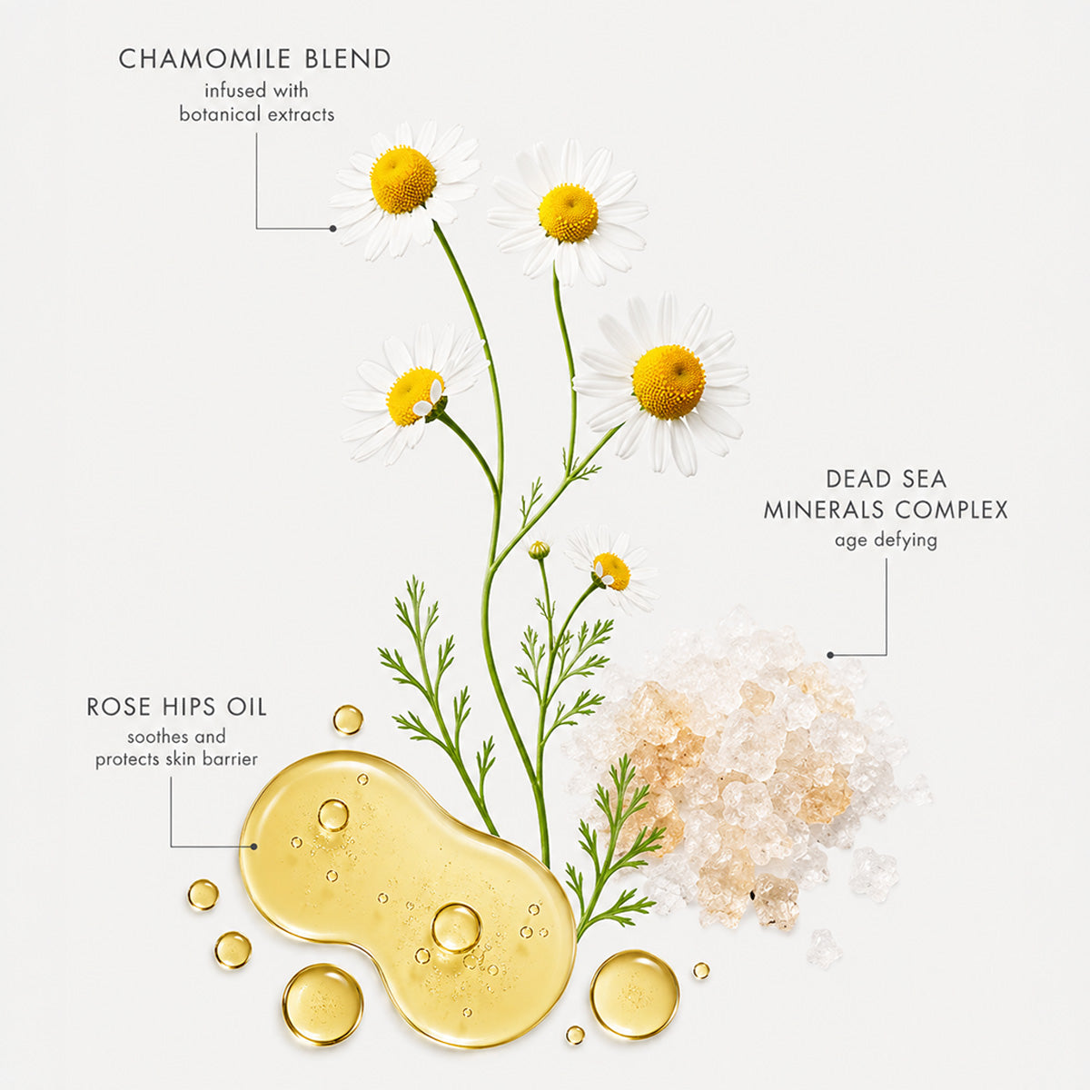 Dead Sea Milk Cleanser